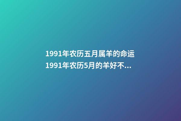 1991年农历五月属羊的命运 1991年农历5月的羊好不好,1991年属羊农历五月生好不好-第1张-观点-玄机派